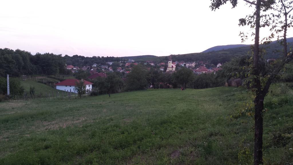 Domboldal Vendeghaz